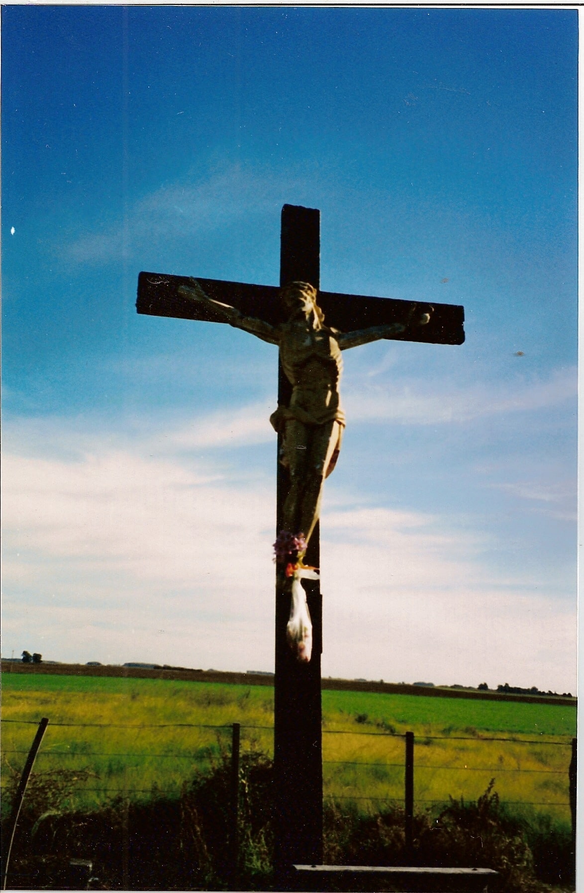 cristo salamone alsina medano arano