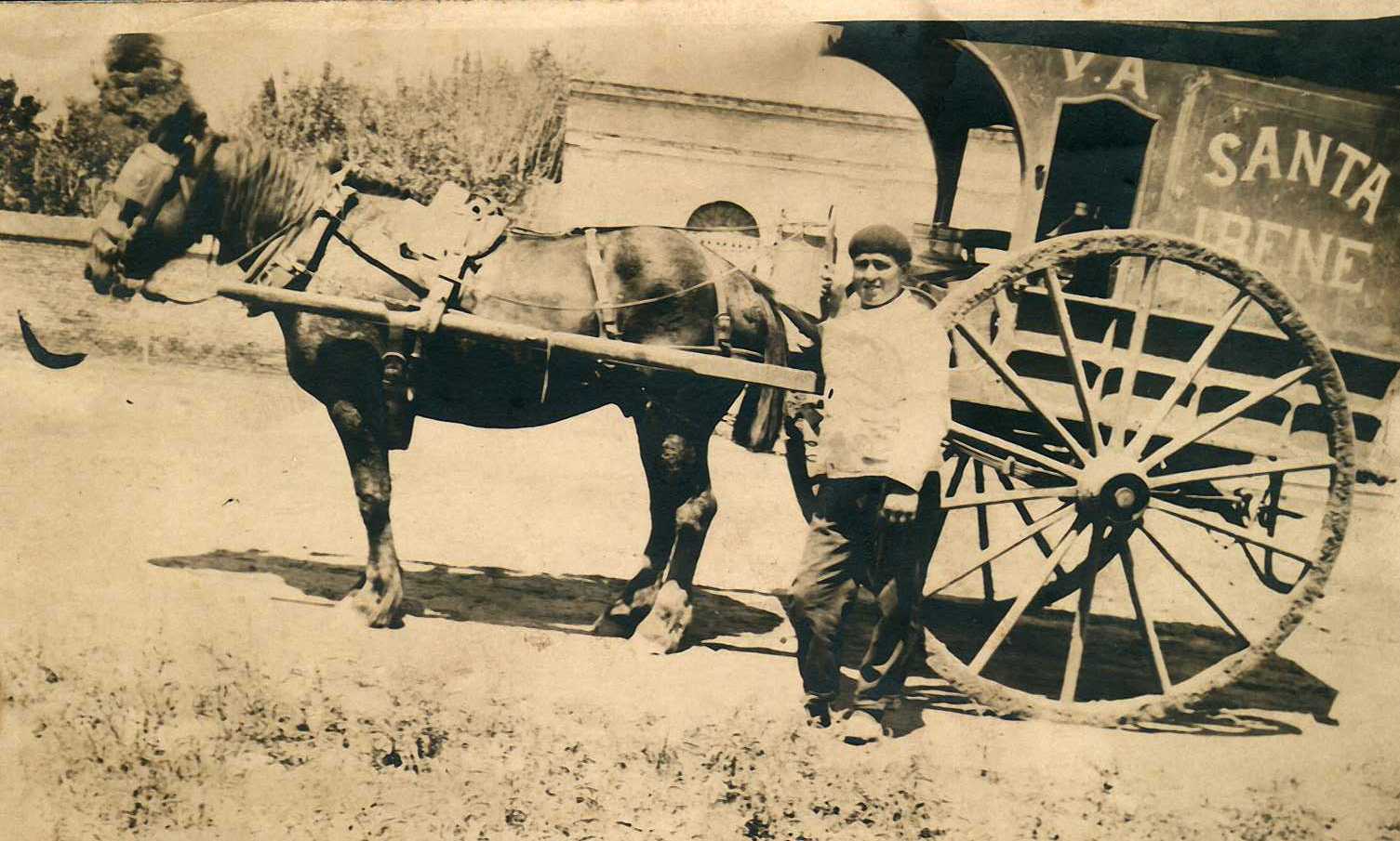 tamberos cooperatica carro carhue