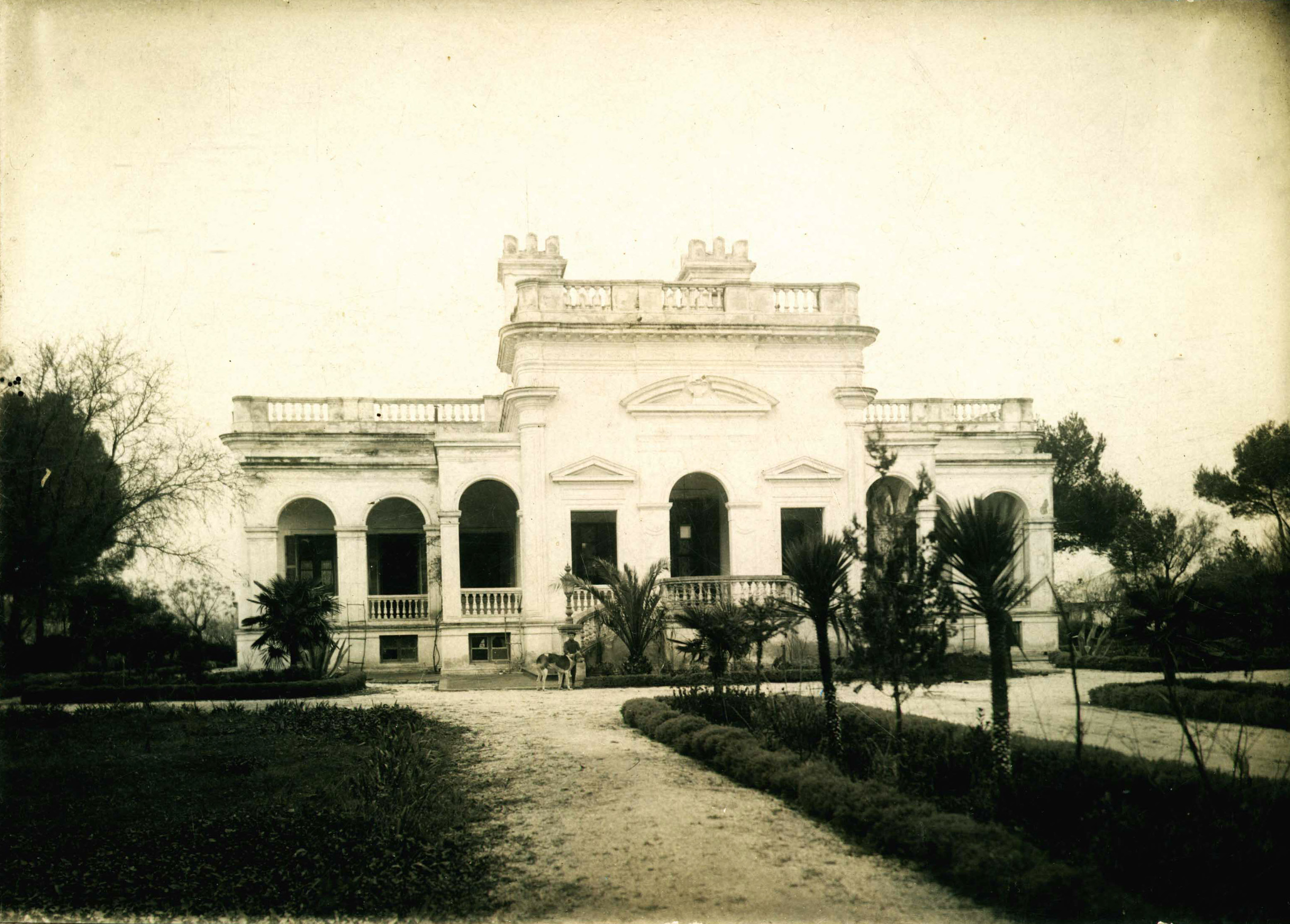 PALACIO DE GALLO LEVALLE CARHUE 