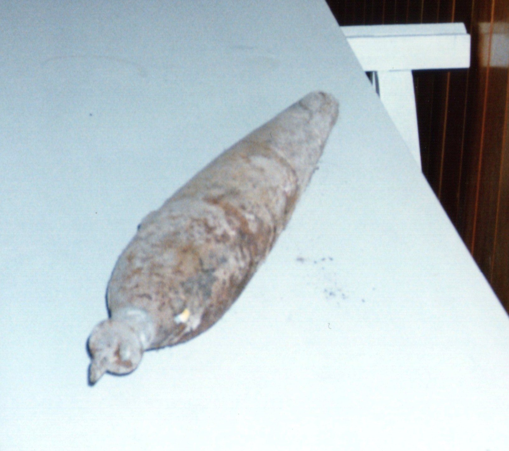 practicas bombardeo aviacion argentina epecuen 1929 bomba