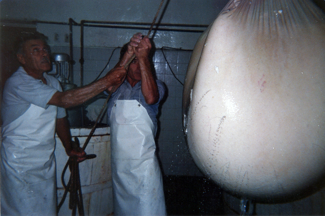 Cooperativa tamberos Carhue carhuepe